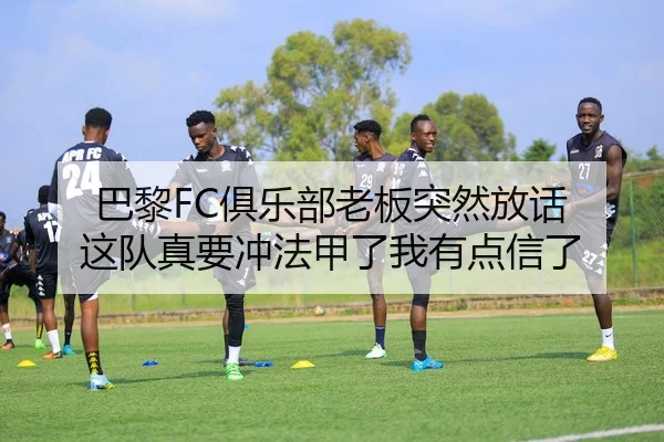 巴黎FC俱乐部老板突然放话 这队真要冲法甲了我有点信了 - leyu