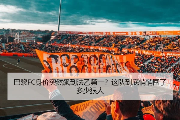 巴黎FC身价突然飙到法乙第一？这队到底悄悄囤了多少狠人 | leyu