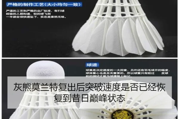 灰熊莫兰特复出后突破速度是否已经恢复到昔日巅峰状态 | leyu