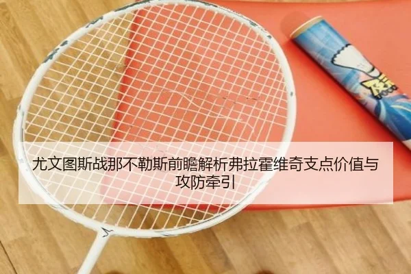 尤文图斯战那不勒斯前瞻解析弗拉霍维奇支点价值与攻防牵引 | leyu