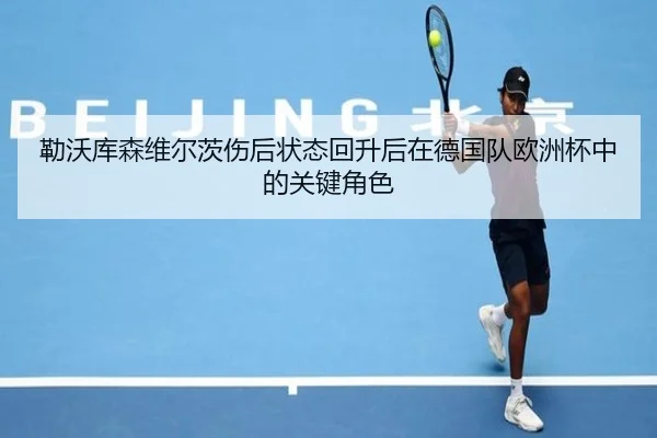 勒沃库森维尔茨伤后状态回升后在德国队欧洲杯中的关键角色 | leyu